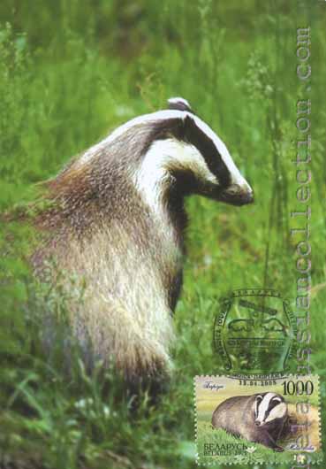 Badger